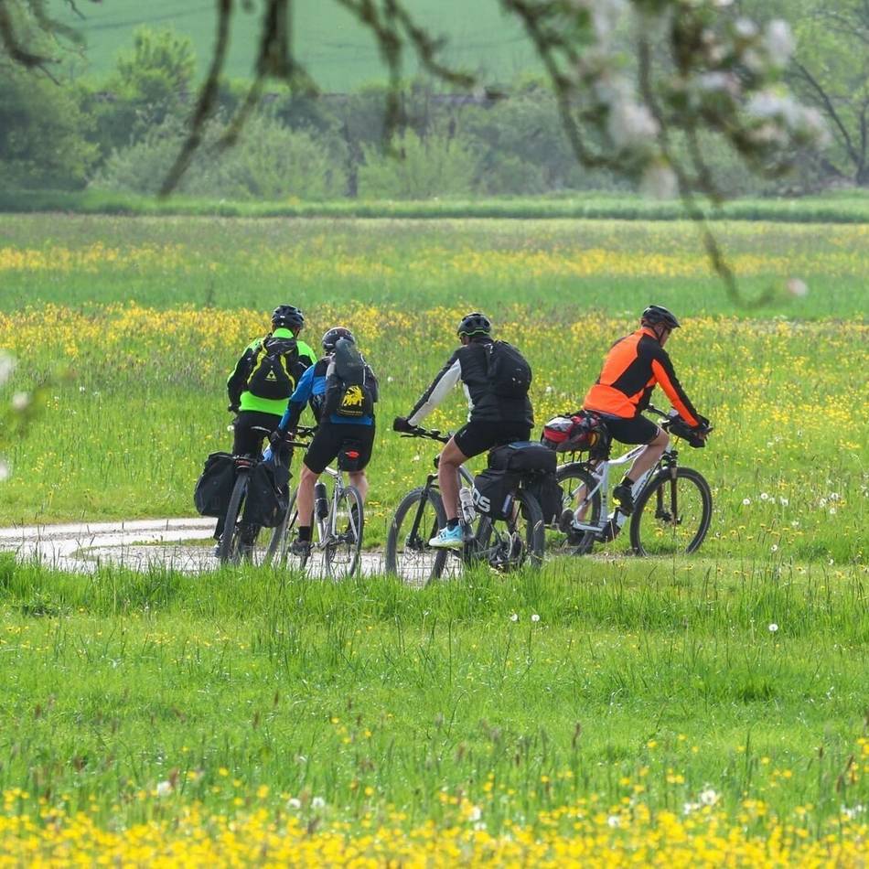 Ausflugstipps in Krefeld: Diese Radtouren starten direkt vor der Haustür