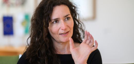 Politiker-Beleidigungen: Sachsens Justizministerin fordert Abschaffung von Sonderregeln