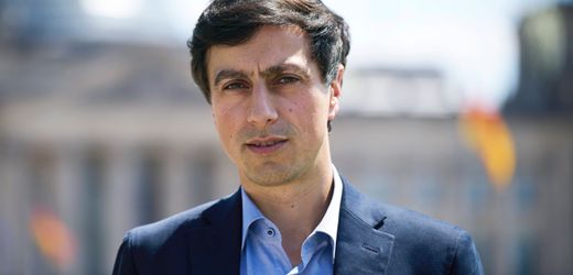 Warum kann man die AfD verbieten, Bijan Moini?