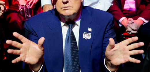 Donald Trump: Prügel, Würgegriffe, Kampfjets – und der Präsident in der ersten Reihe