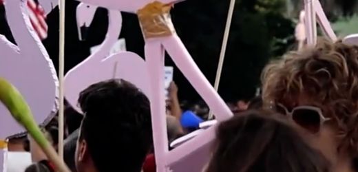 Jared Kushner: Flamingo-Proteste in Albanien gegen Luxusresort in Naturschutzgebiet