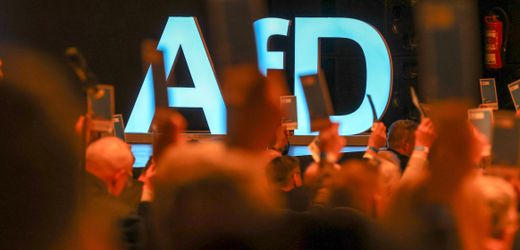 AfD: ZDF-»Politbarometer« sieht Partei bei 28 Prozent