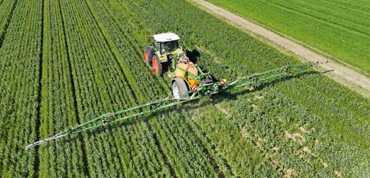 Bayer gewinnt Glyphosat-Streit in den USA vor Supreme Court
