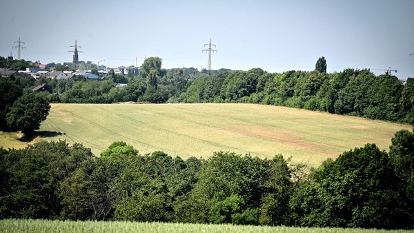 Großes Feld in Velbert: Enthaltung bringt überraschende Mehrheit für Gewerbegebiet