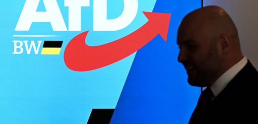 AfD: Finanzaffäre beschäftigt Parteitag in Baden-Württemberg