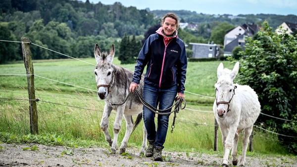 Kuscheln mit Emma und Nepumuk: Diese beiden Velberter Esel entschleunigen jeden