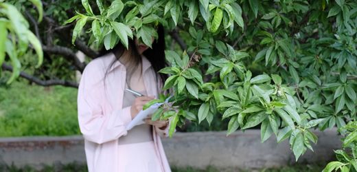 China: Stand-up-Comedy boomt, weibliche Comedians füllen zunehmend die Säle