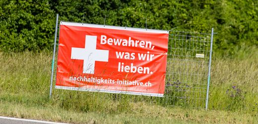 Schweiz: Was die Ablehnung der Zehnmillioneninitiative über Volksentscheide sagt