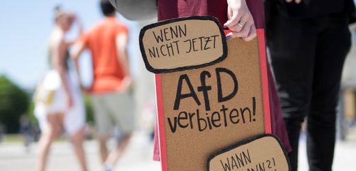AfD-Verbot: Bundestagsabgeordnete wollen Verfahren endlich einleiten