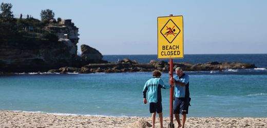 Sydney in Australien: Nach Hai-Attacke sollen Drohnen Schwimmer besser schützen