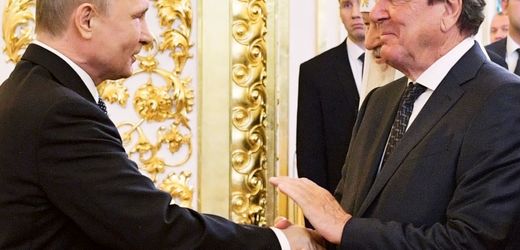 Wladimir Putin und Ex-Kanzler Gerhard Schröder führen Vieraugengespräch