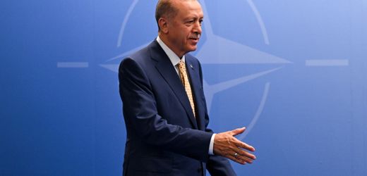 Türkei: 178 Menschen vor Nato-Gipfel in Ankara in U-Haft genommen