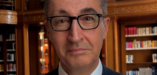 Cem Özdemir: So will der grüne Ministerpräsident die AfD stoppen