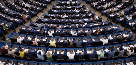 AfD: EU-Abgeordnete wollen Europapartei der AfD verbieten
