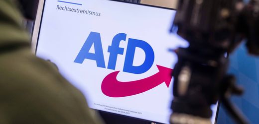 AfD: Verfassungsschutz darf gesamte Partei beobachten
