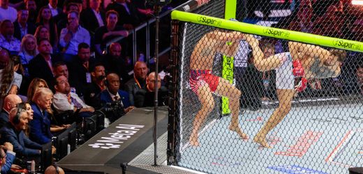 Donald Trump feiert 80. Geburtstag – mit UFC-Kampf vor dem Weißen Haus: die Fotos