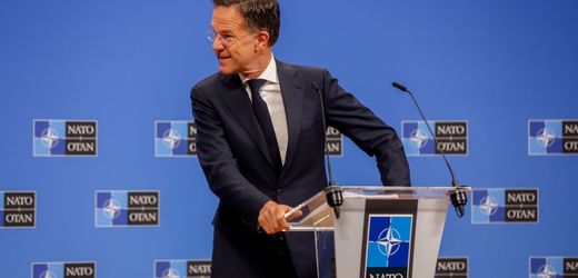 Nato-Gipfel in der Türkei: Türkische Journalisten ausgeschlossen