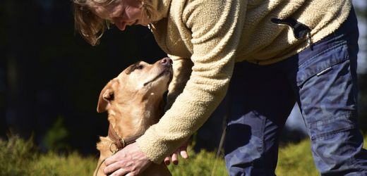 Haustiere: Mensch und Hund sind weltweit gute Freunde