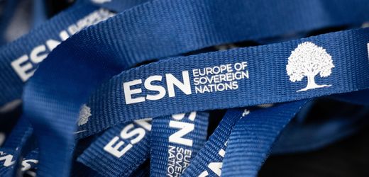 AfD: Was hinter der Untersuchung der EU-Aufsichtsbehörde steckt