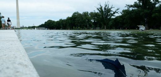 Donald Trump: Neue Farbe des Lincoln Memorial Reflecting Pool blättert ab