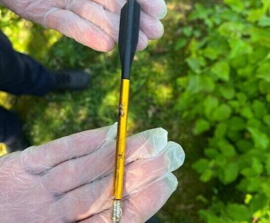 Tierquälerei im Naturpark Kellen: „Perfide und absolut verwerflich“ – Unbekannter schießt in Kleve Vögel ab