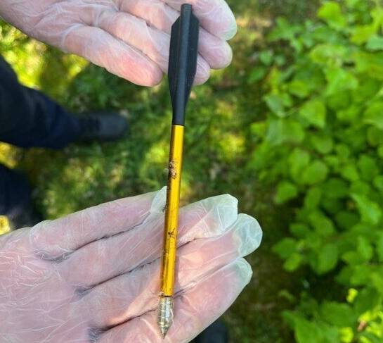 Tierquälerei im Naturpark Kellen: „Perfide und absolut verwerflich“ – Unbekannter schießt in Kleve Vögel ab