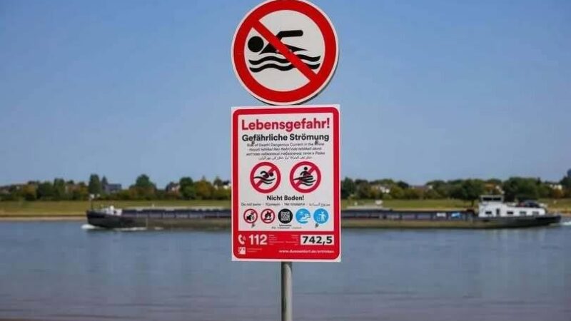 DLRG und Feuerwehr bei Rheinberg: Einsatzkräfte retten Hund aus dem Rhein