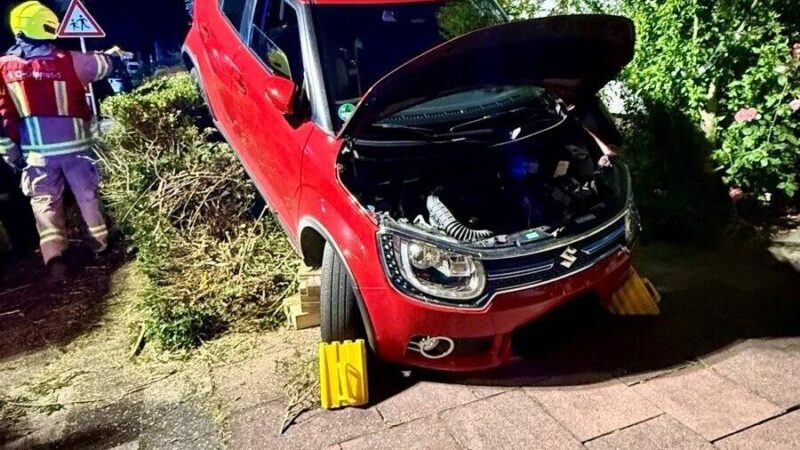 Kurioser Einsatz für die Feuerwehr : Unfall: Pkw-Insassen durch Mülltonne und Hecke eingesperrt