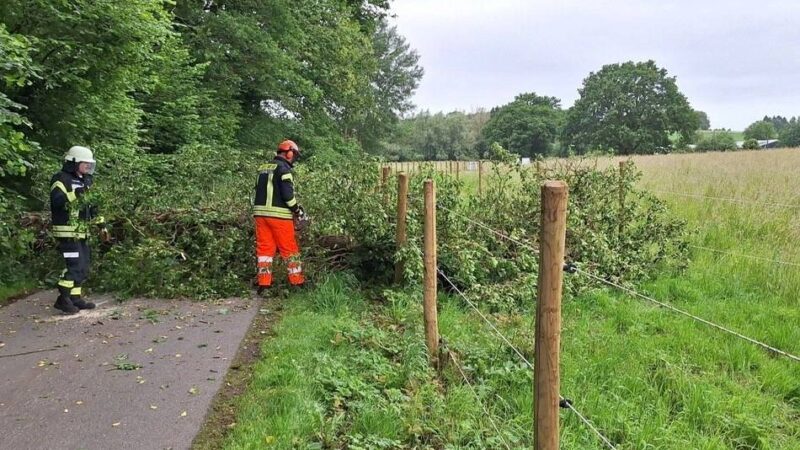 Sturmschaden in Sonsbeck: Umgestürzter Baum blockiert Straße