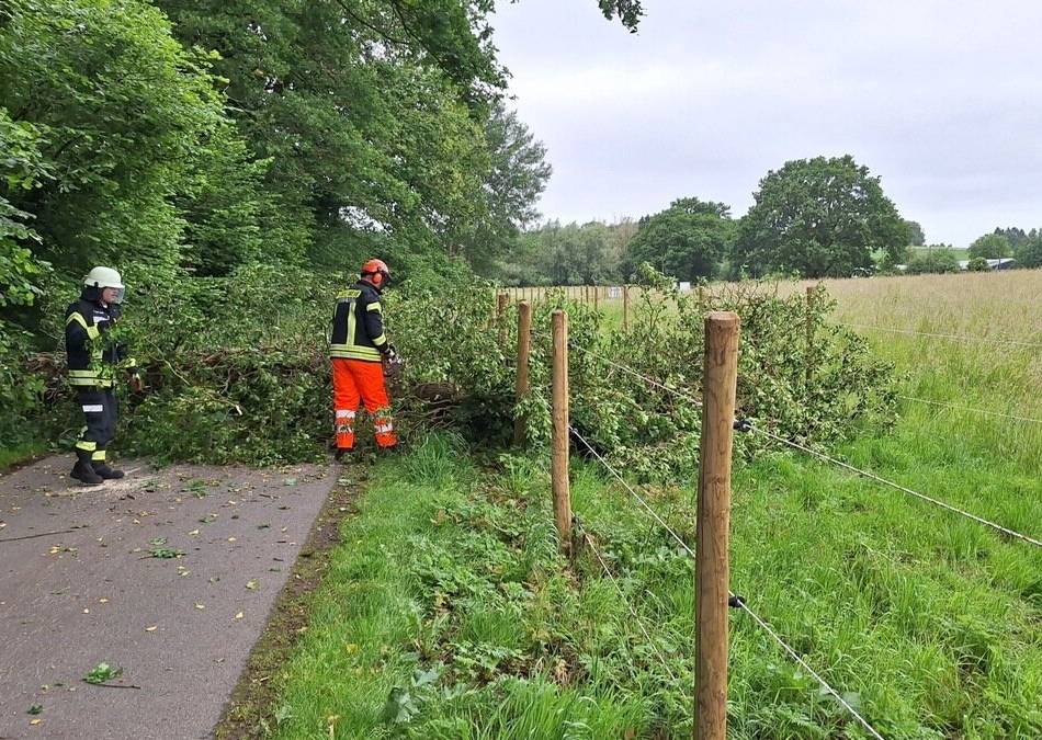 Sturmschaden in Sonsbeck: Umgestürzter Baum blockiert Straße