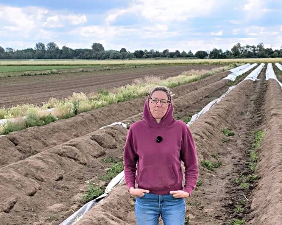 „Das haben wir noch nicht erlebt“: Dreiste Spargel-Diebe verwüsten Feld in Schiefbahn