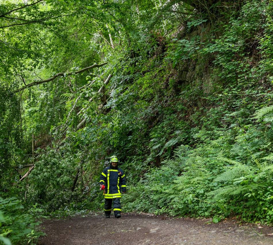 Baumsturz und Bauarbeiten in Solingen: Sperrung für Wanderer und Radler – die nächste folgt im Sommer