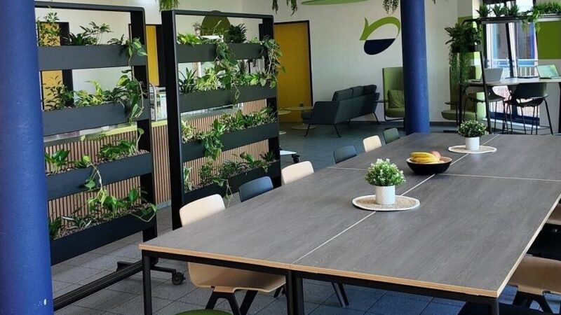 Nettetal modernisiert Verwaltung: Stadt baut Cafeteria zu multifunktionalem Raum um