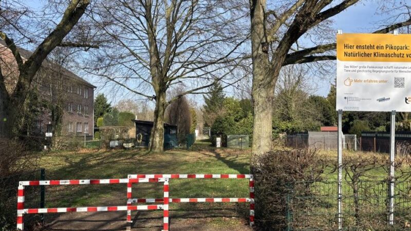 Pikopark in Korschenbroich: Workshop zur Entstehung einer artenreichen Wiese