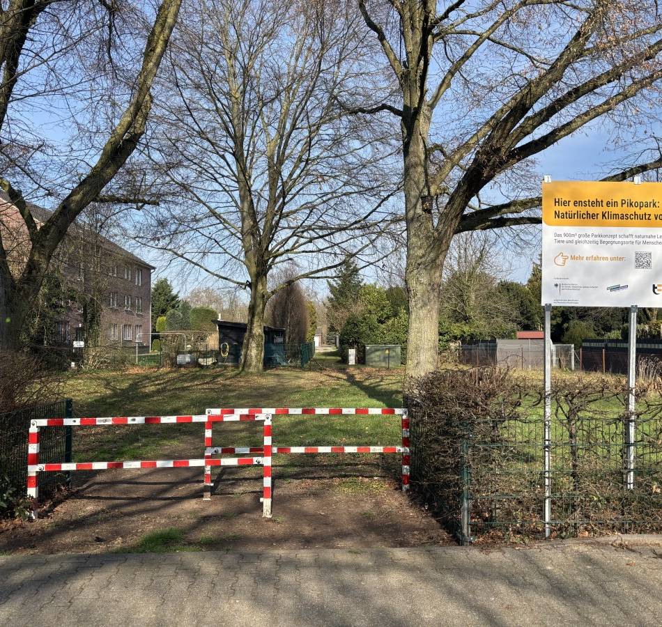 Pikopark in Korschenbroich: Workshop zur Entstehung einer artenreichen Wiese