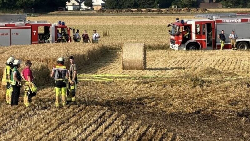 Feuerwehr im Einsatz: 1000 Quadratmeter Feld stehen in Flammen