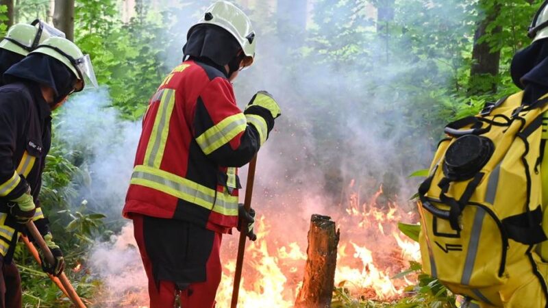 Hitze und Trockenheit: Kreis warnt vor steigender Waldbrandgefahr