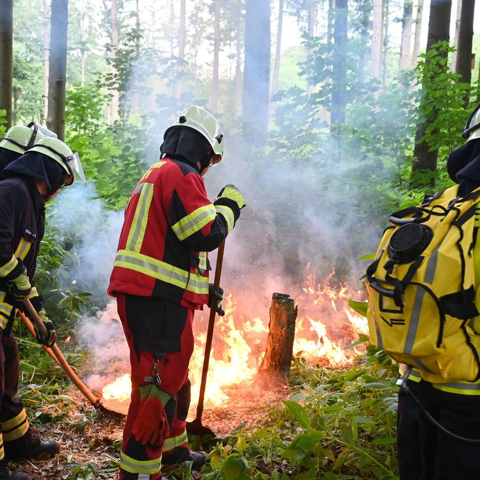 Hitze und Trockenheit: Kreis warnt vor steigender Waldbrandgefahr