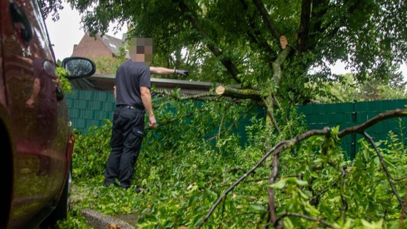 Nach Gewitterwarnung in Krefeld: Ast fällt bei Unwetter auf Auto