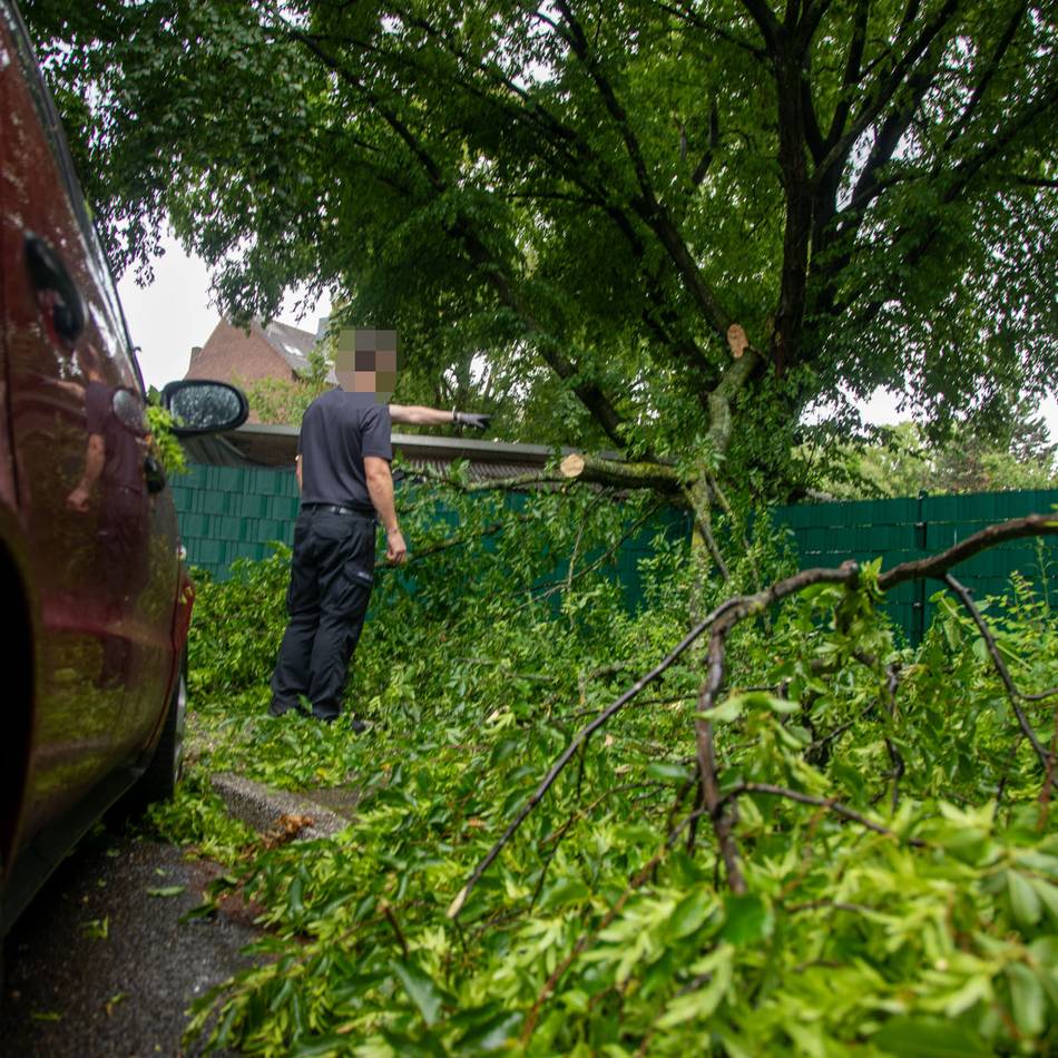 Nach Gewitterwarnung in Krefeld: Ast fällt bei Unwetter auf Auto