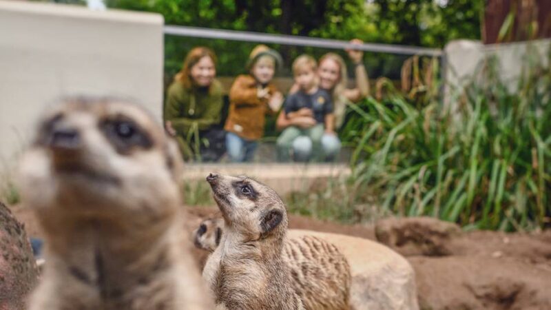 Spuren hinterlassen: Klever Tiergarten lädt zum Abend über Erben und Vorsorge ein