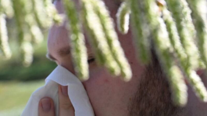 Klever Apotheker warnt: „Viele Menschen unterschätzen Heuschnupfen noch immer“
