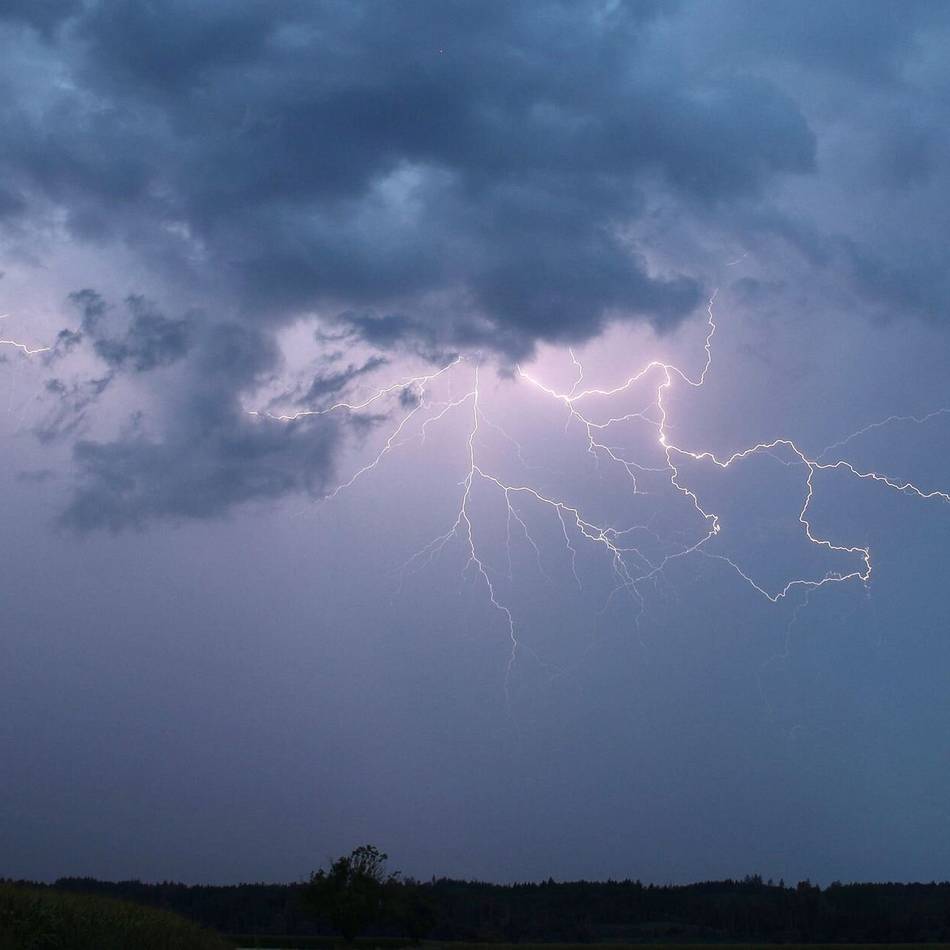 Einsätze im Kreis Viersen: Bäume stürzen bei Gewitter um