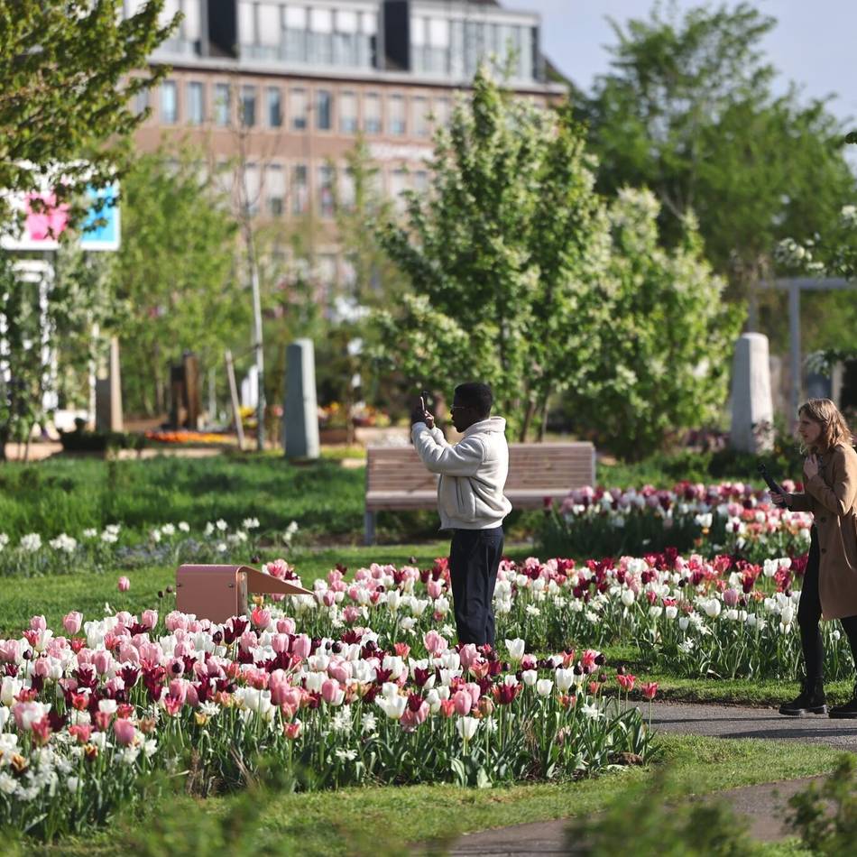 Stadt Neuss legt Zahlen offen: Ist die Laga ein Erfolg? – „Wir haben absolut nichts zu verheimlichen“