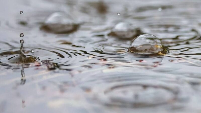 Schwimmen in Mettmann: Naturfreibad am Wochenende geschlossen