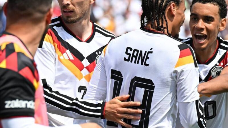 Fußball-WM 2026: Schildkröte Klaus sagt das Ergebnis gegen Curaçao voraus