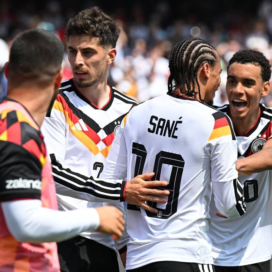 Fußball-WM 2026: Schildkröte Klaus sagt das Ergebnis gegen Curaçao voraus
