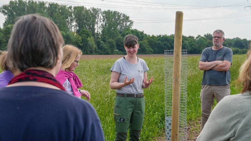 Hof Birgel Kalkar: Walnuss-Agroforst zeigt Landwirtschaft der Zukunft