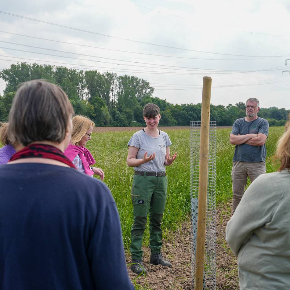 Hof Birgel Kalkar: Walnuss-Agroforst zeigt Landwirtschaft der Zukunft