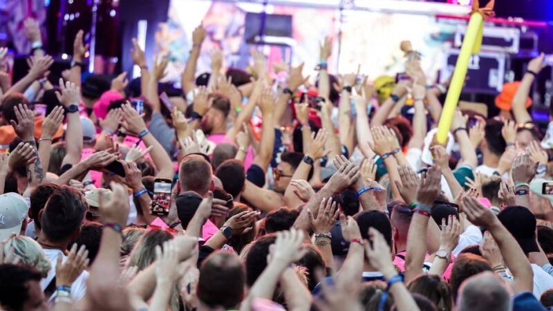 Festival übernimmt Lama-Patenschaft: Große Parookaville-Pfandspende an den Tierpark